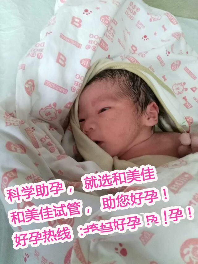 广州代妈