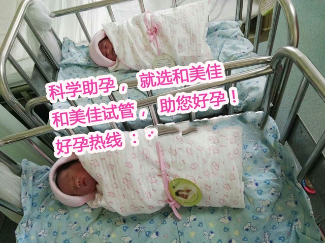 广州代妈