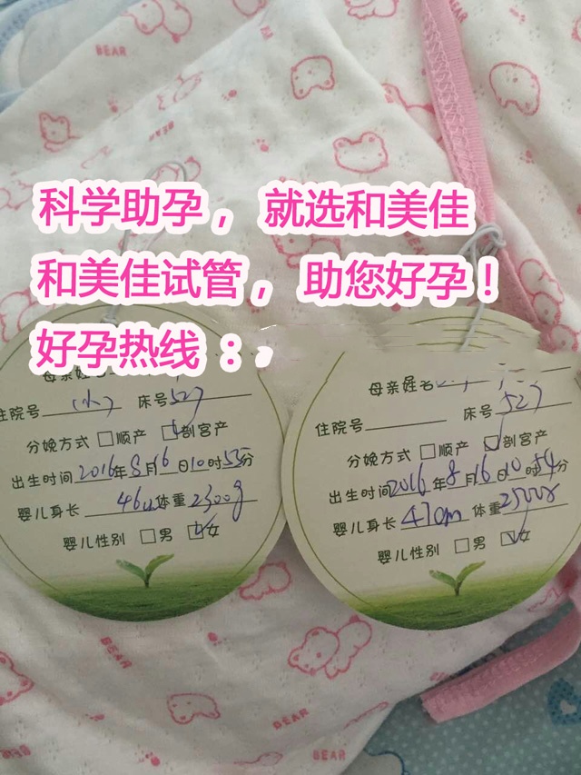 广州代妈