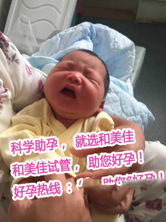 广州代妈