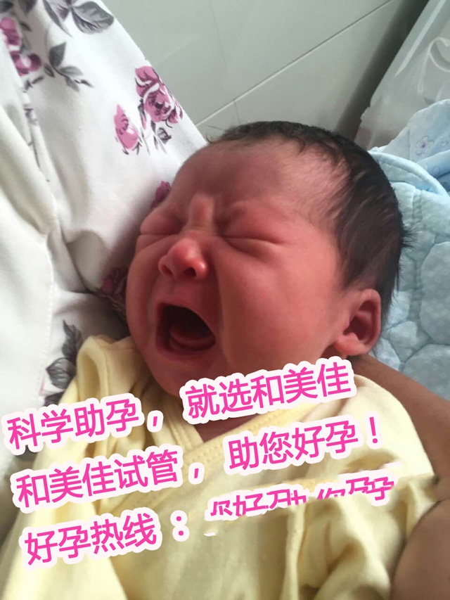 广州代妈