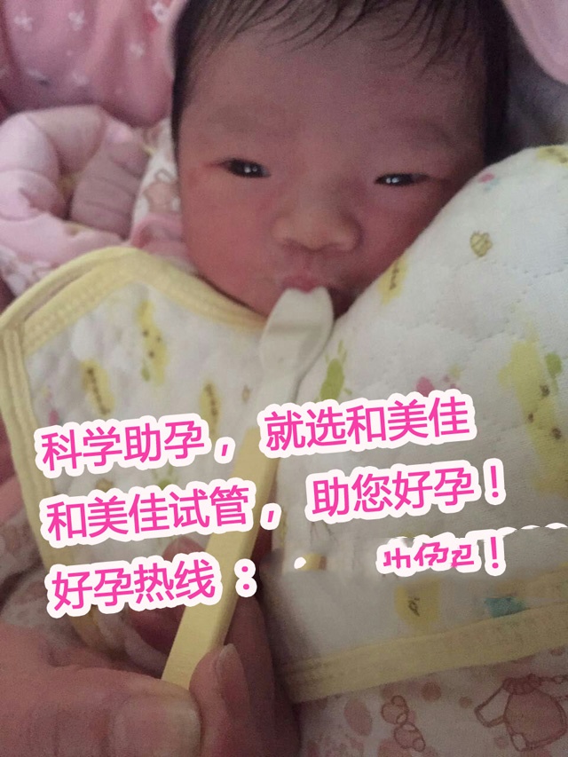 广州代妈