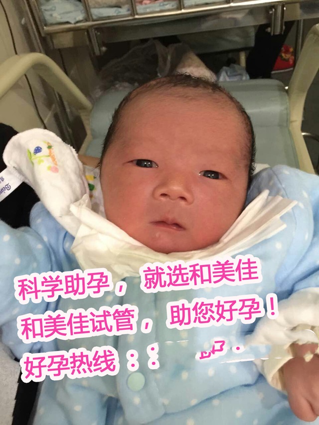广州代妈