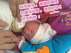 又一成功案例—女子本弱，为母则强