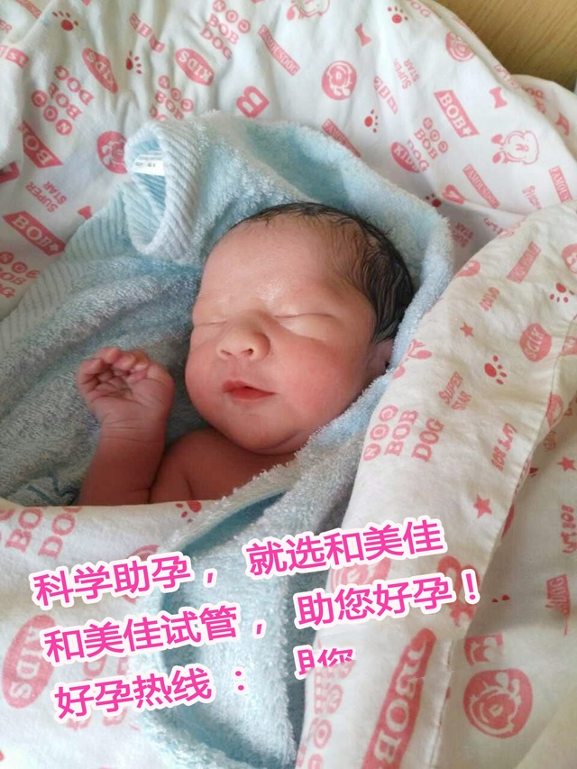 广州代妈