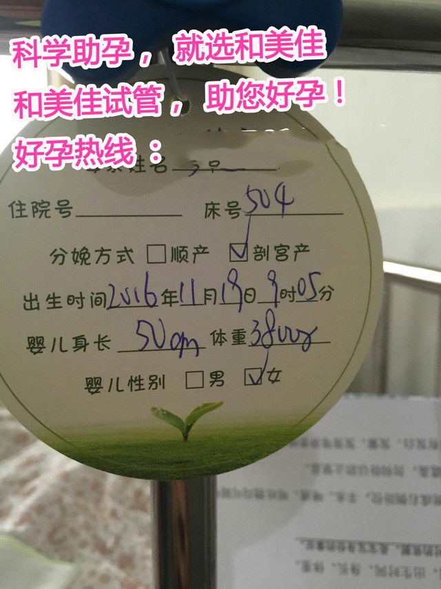 广州代妈