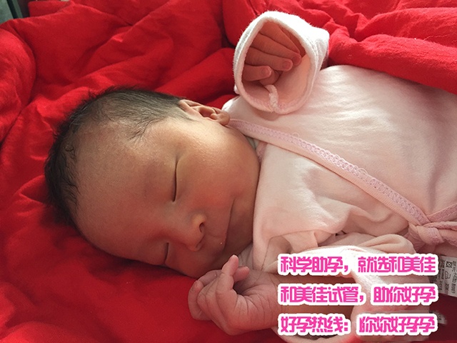广州代妈