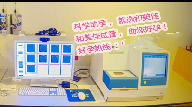 广州代妈