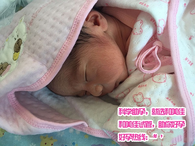广州代妈