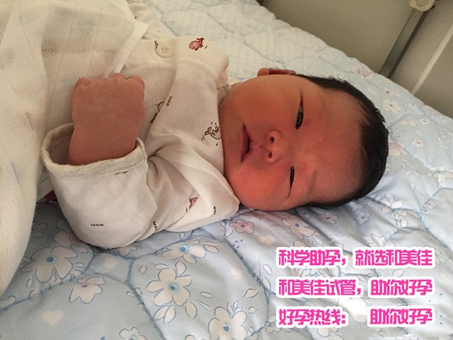 广州代妈