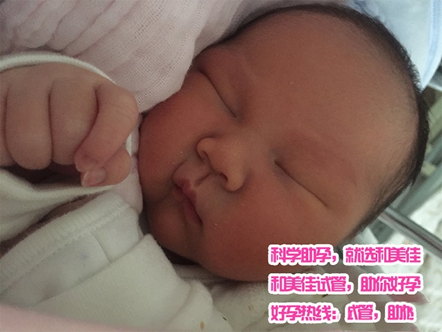 广州代妈
