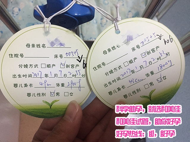 广州代妈