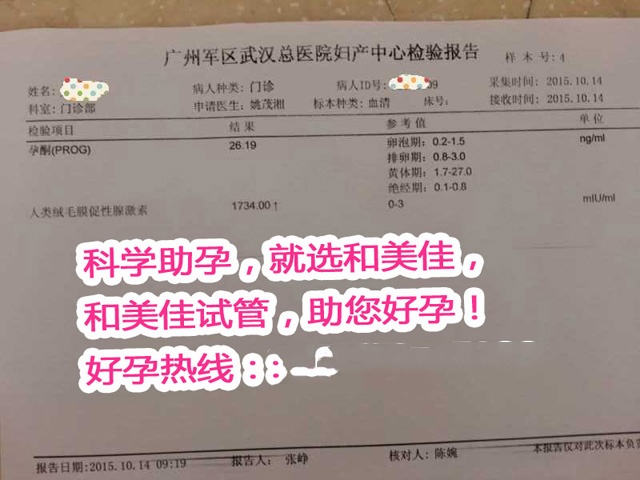 广州代妈