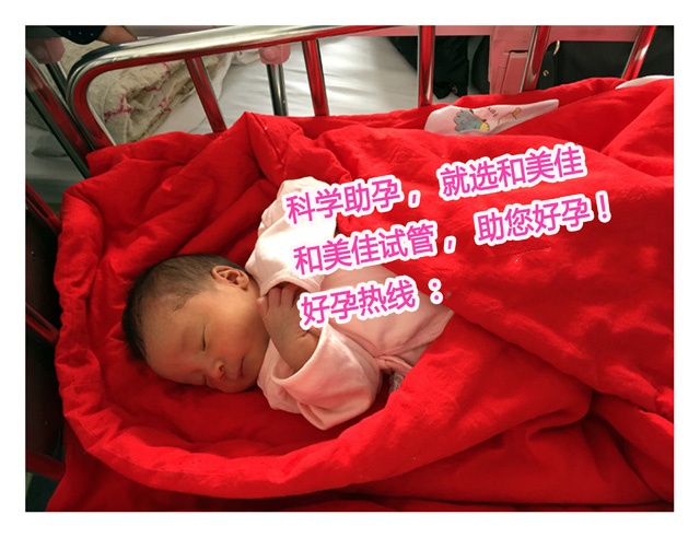 广州代妈