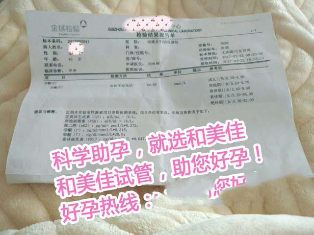 广州代妈