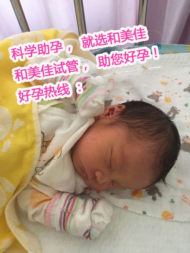 广州代妈