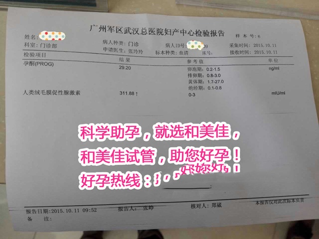 广州代妈