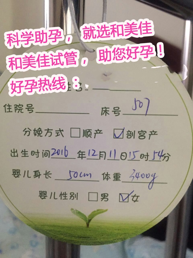 广州代妈