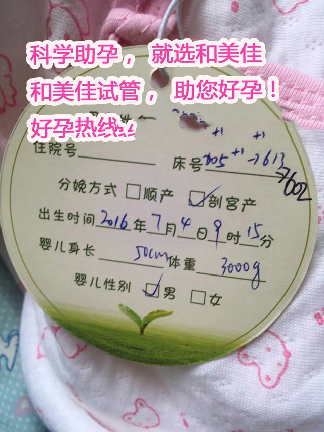 广州代妈