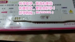 绝经也能怀孕，看X女士的成功妊娠经历