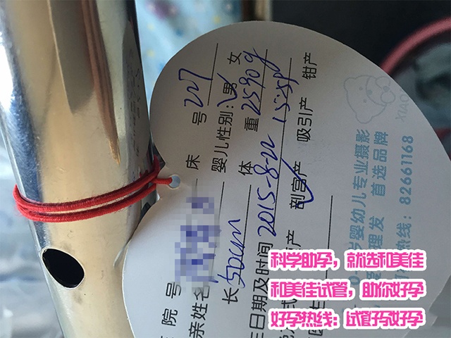 广州代妈
