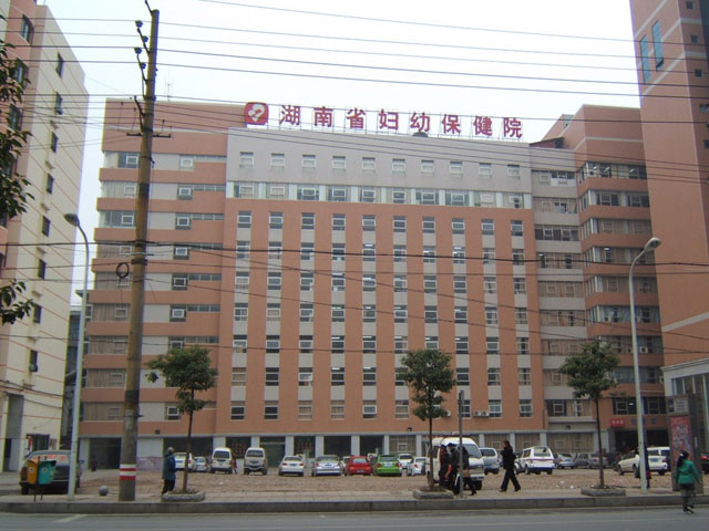广州代妈
