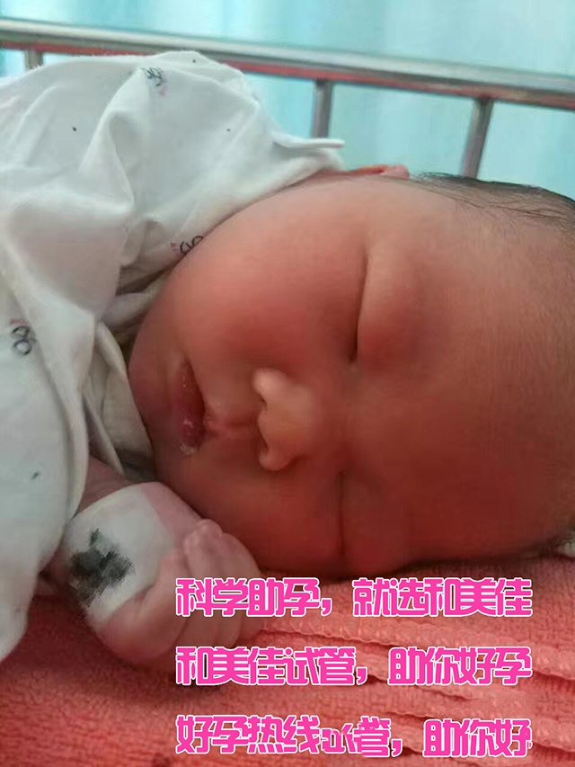 广州代妈