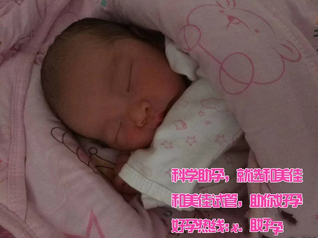 广州代妈