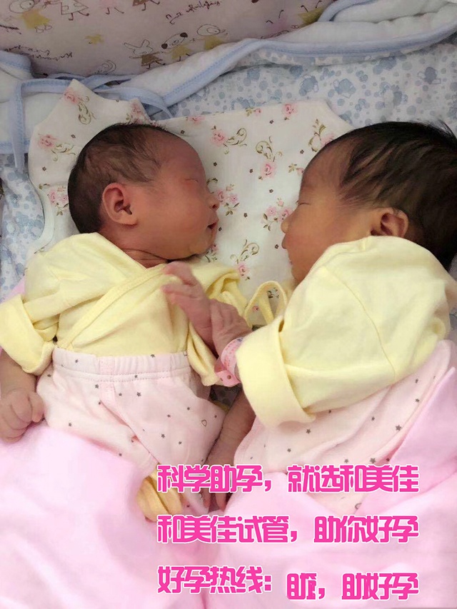 广州代妈